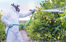 Fungicide