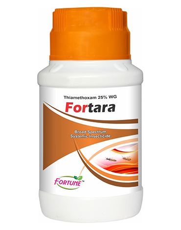 Fortara