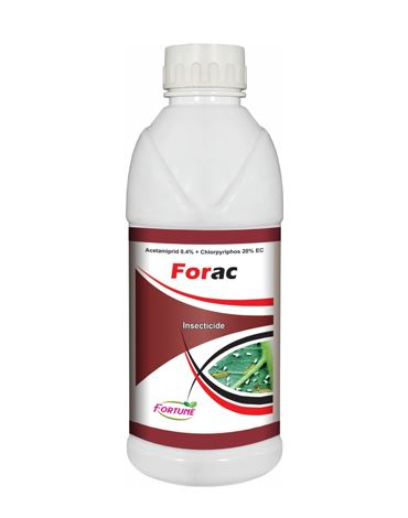 Forac