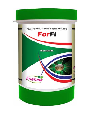  ForFI