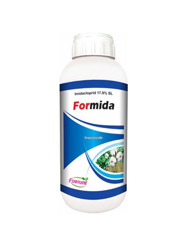  Formida