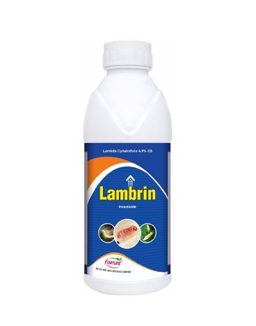 Lambrin