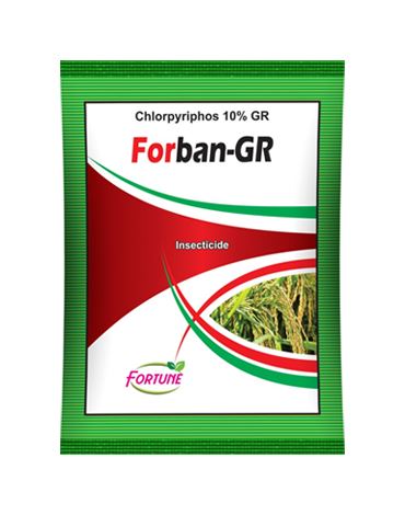 Forban – GR