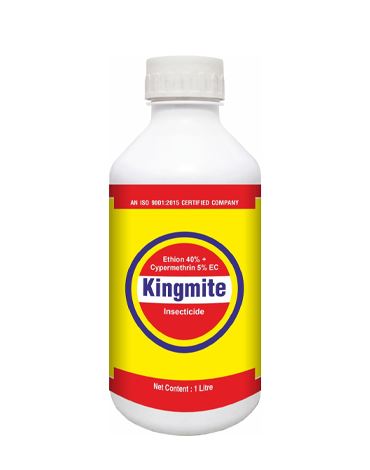 Kingmite