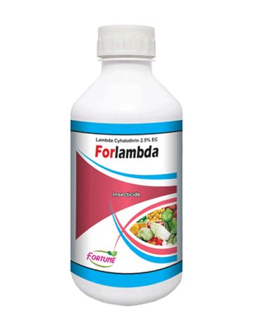 Forlambda