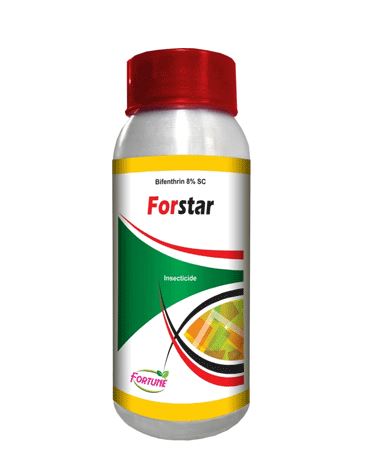  Forstar