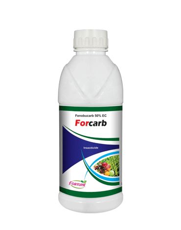 Forcarb