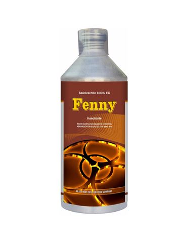  Fenny