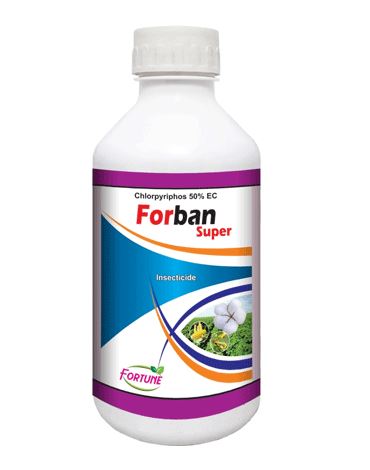  Forban Super