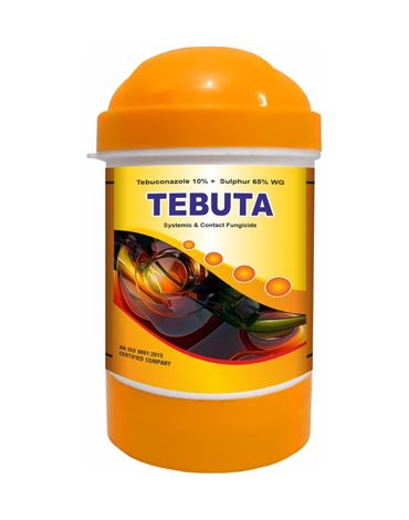 Tebuta