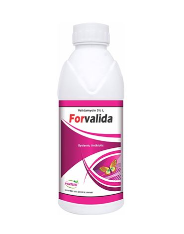  Forvalida