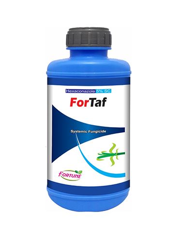 Fortaf
