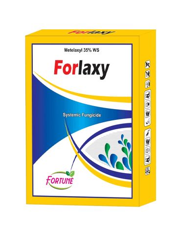 Forlaxy