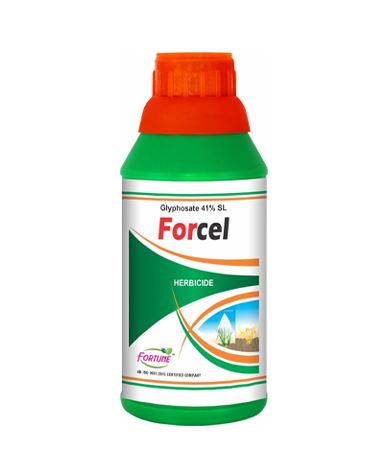 Forcel