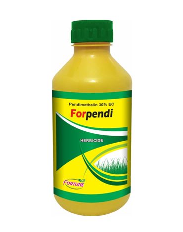 Forpendi