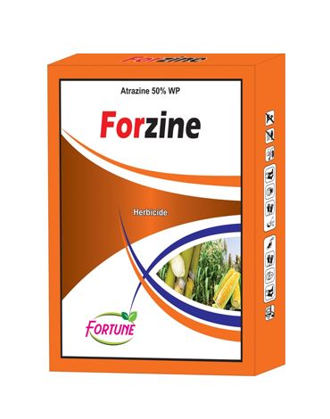 Forzine