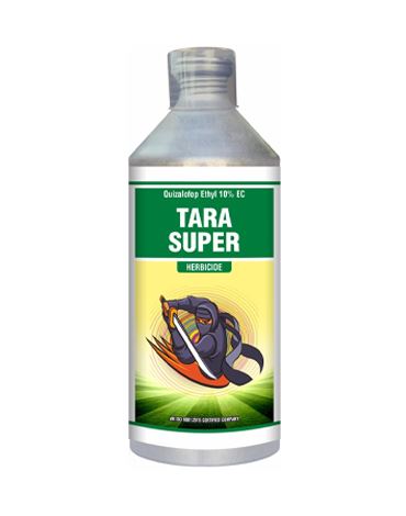 Tara Super