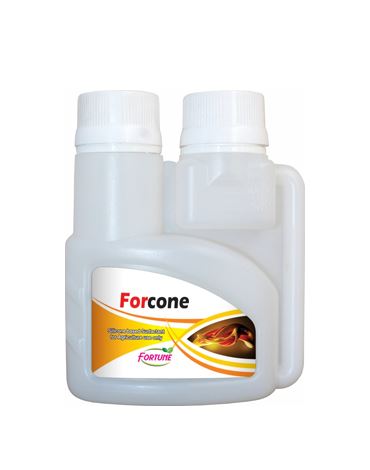 Forcone