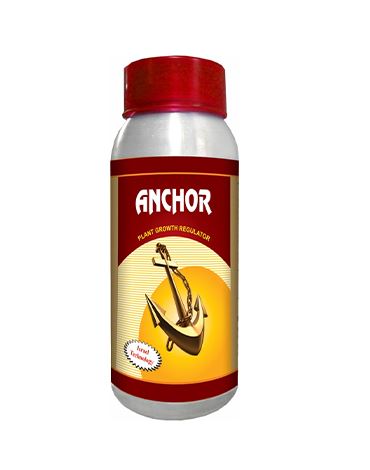 Anchor