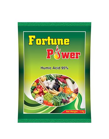  Fortune Power