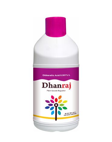 Dhanraj
