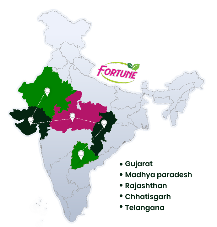indiamap-FAI